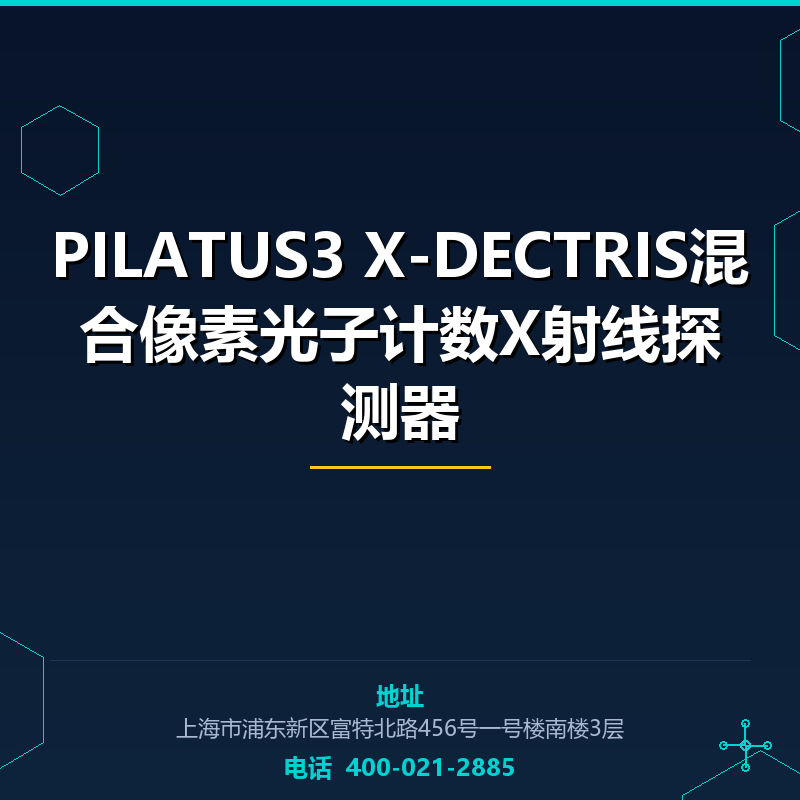 PILATUS3 X-DECTRIS混合像素光子计数X射线探测器 None