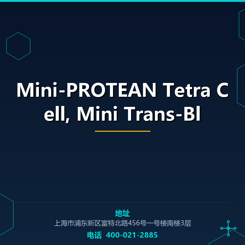 Mini-PROTEAN Tetra Cell, Mini Trans-Bl None