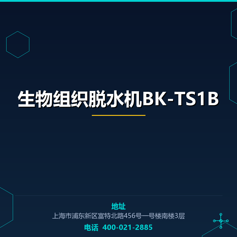 生物组织脱水机BK-TS1B None