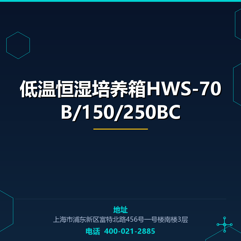 低温恒湿培养箱HWS-70B/150/250BC None