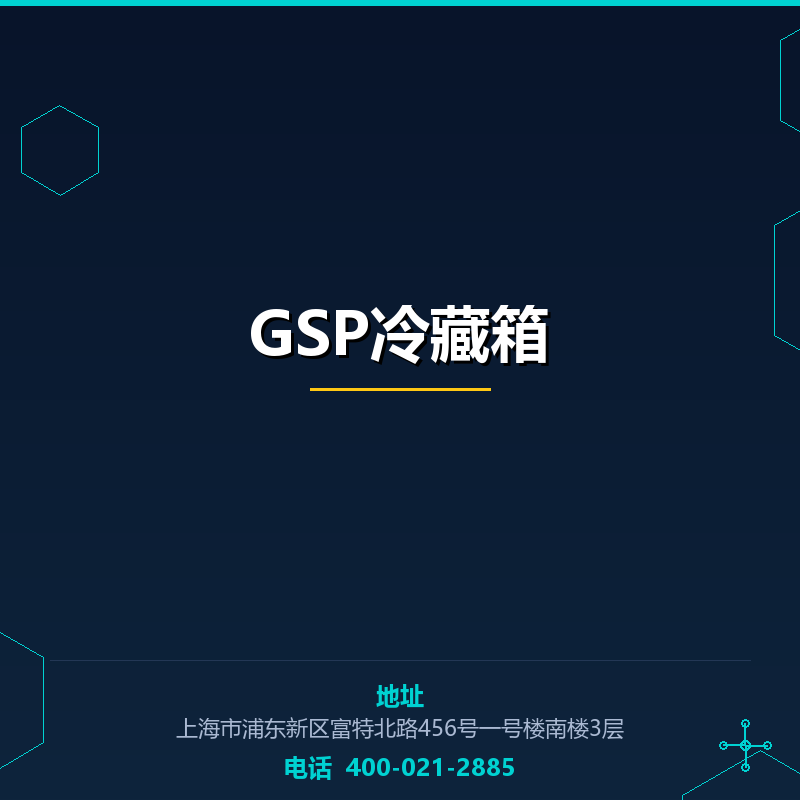 GSP冷藏箱 None