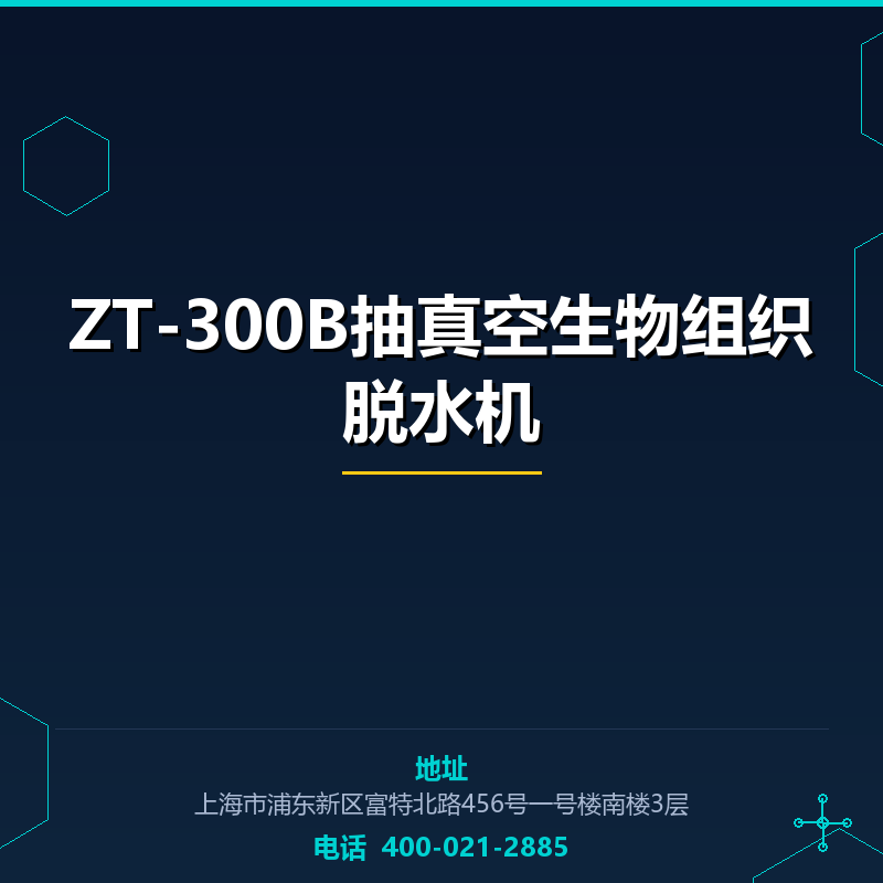 ZT-300B抽真空生物组织脱水机 None