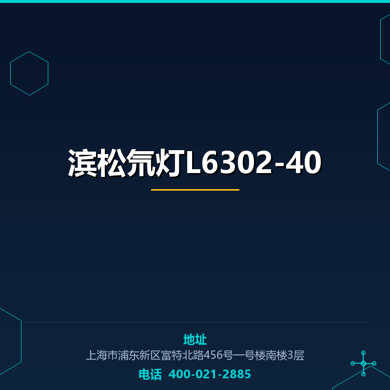 滨松氘灯L6302-40 None