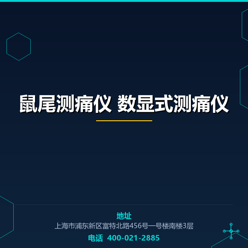 鼠尾测痛仪 数显式测痛仪 None