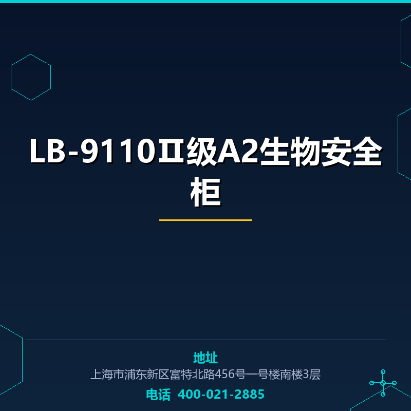 LB-9110Ⅱ级A2生物安全柜 None