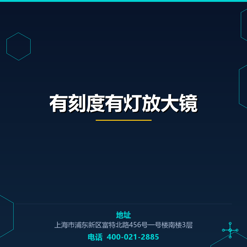 有刻度有灯放大镜 None