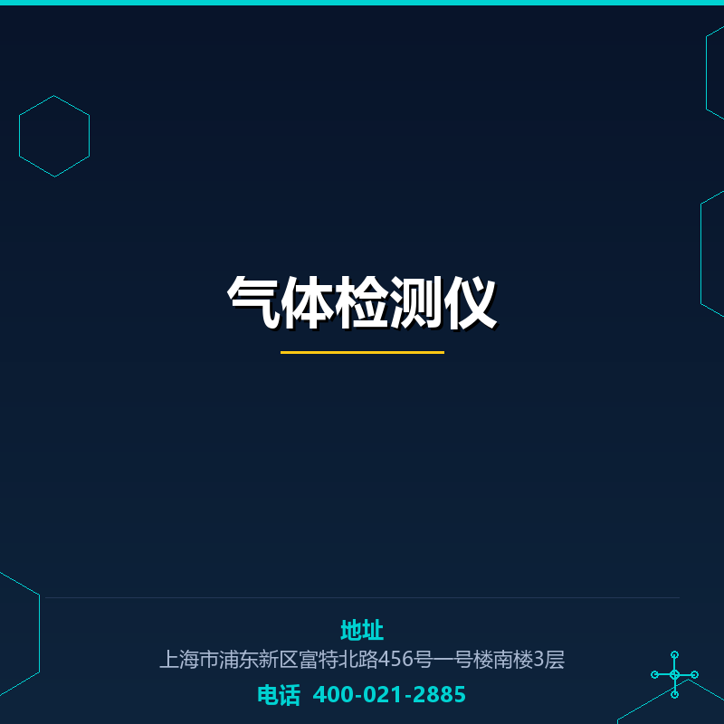 气体检测仪 None