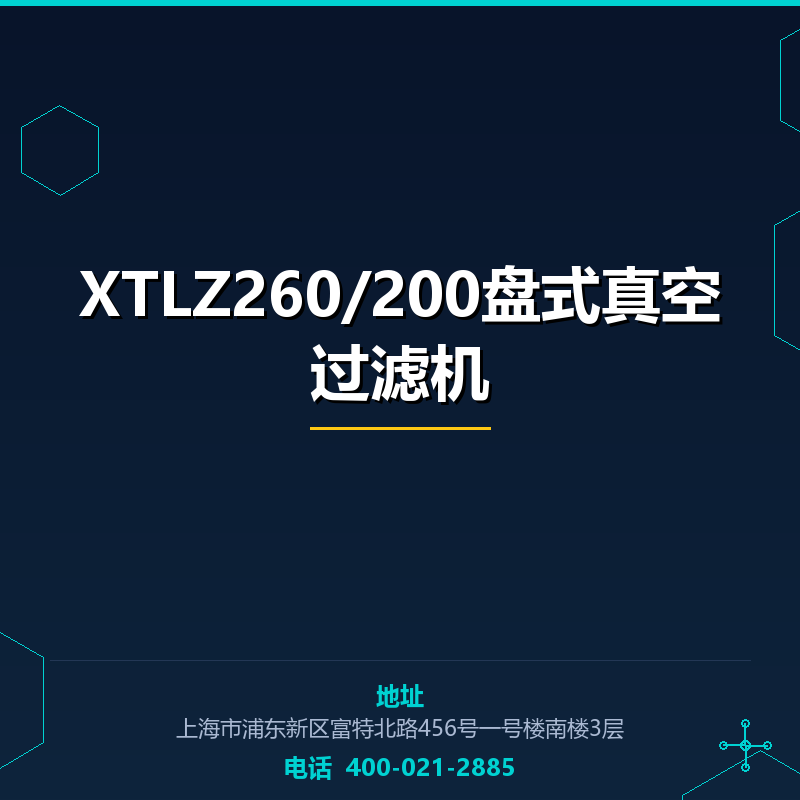 XTLZ260/200盘式真空过滤机 None