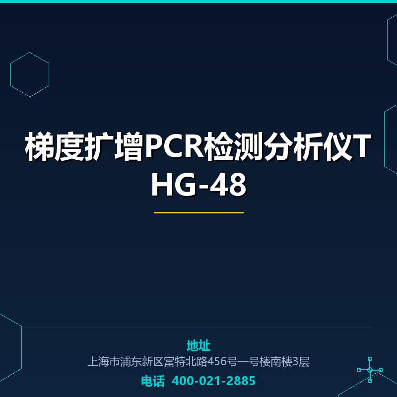 梯度扩增PCR检测分析仪THG-48 None