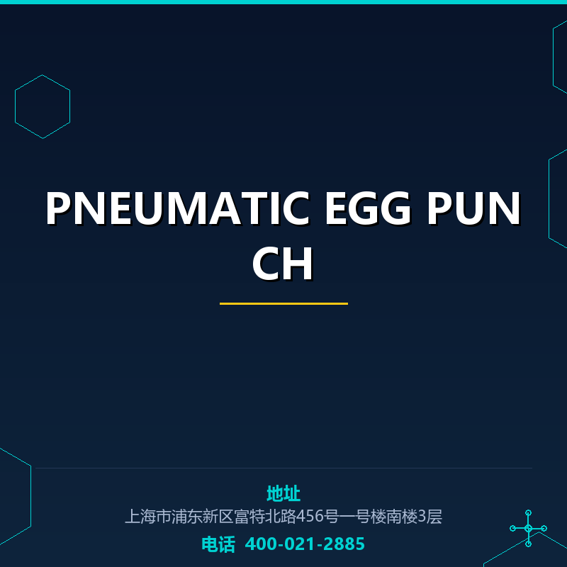 PNEUMATIC EGG PUNCH None