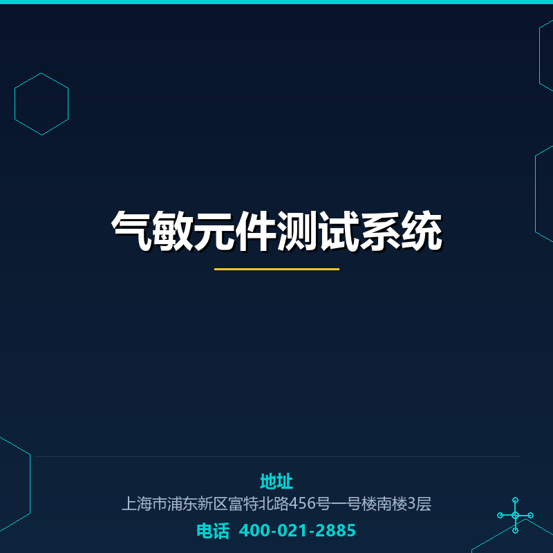 气敏元件测试系统 None