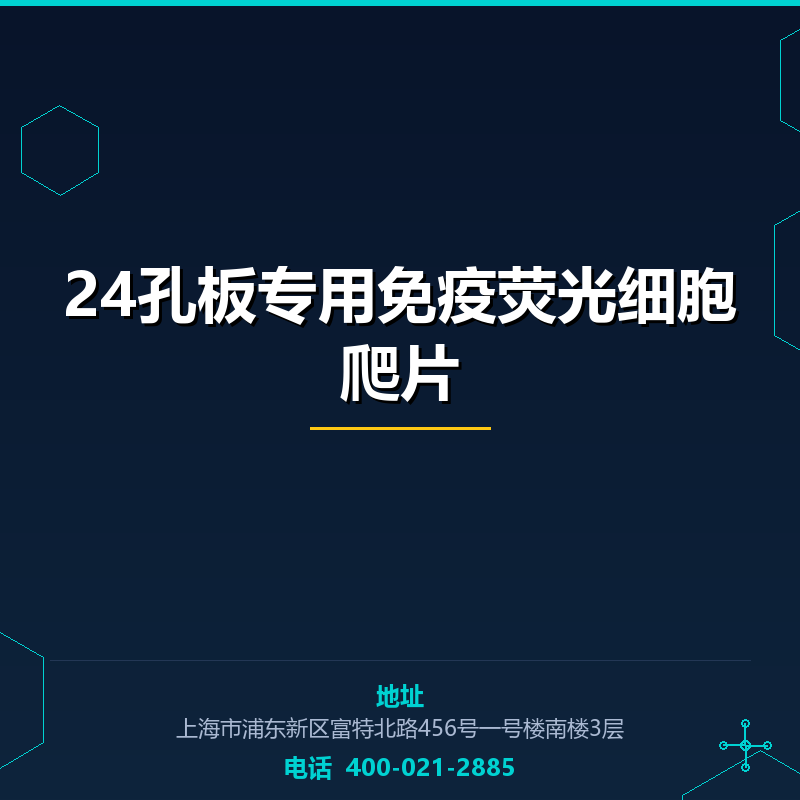 24孔板专用免疫荧光细胞爬片 None