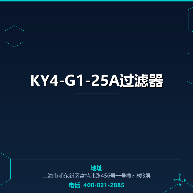 KY4-G1-25A过滤器 None