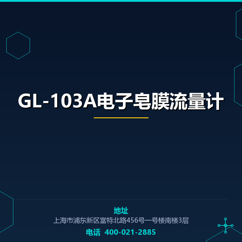 GL-103A电子皂膜流量计 None