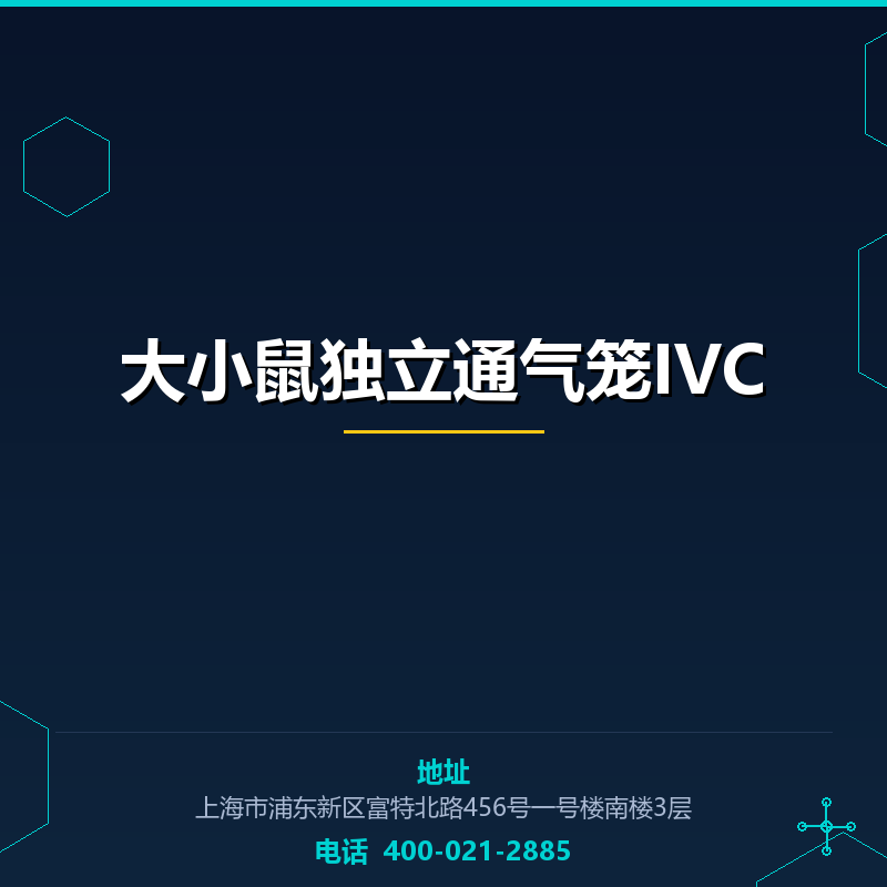大小鼠独立通气笼IVC None