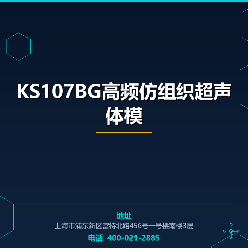 KS107BG高频仿组织超声体模 None
