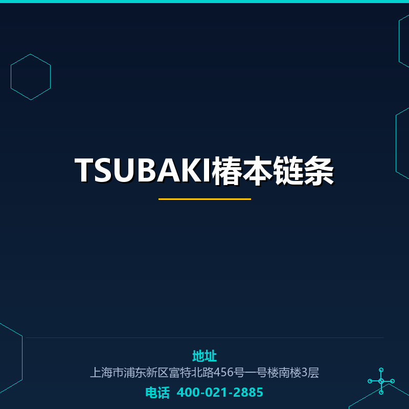 TSUBAKI椿本链条 None