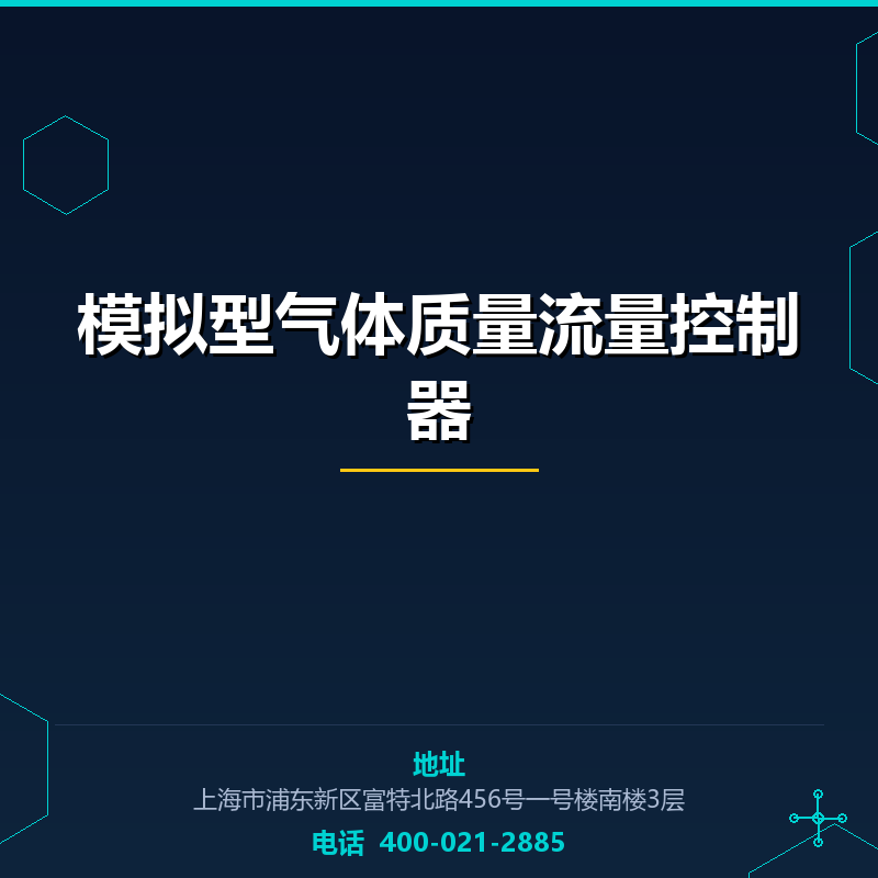 模拟型气体质量流量控制器 None