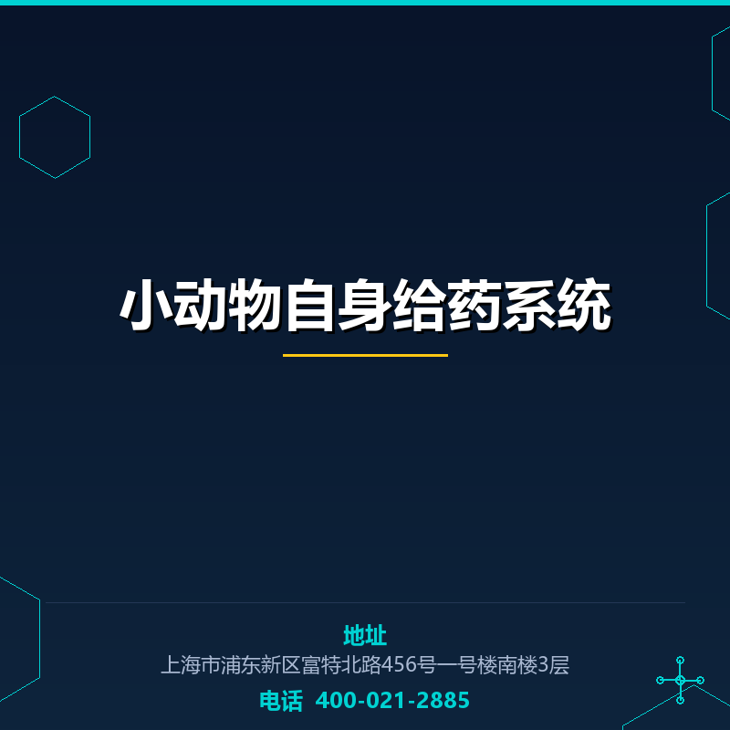 小动物自身给药系统