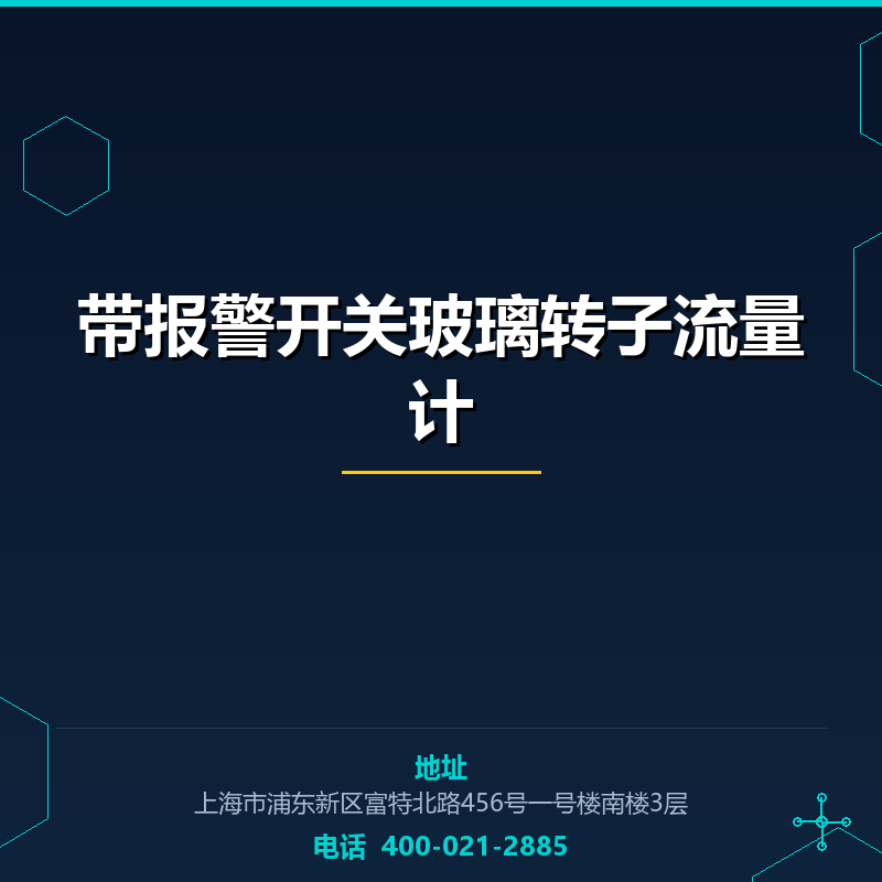带报警开关玻璃转子流量计 None
