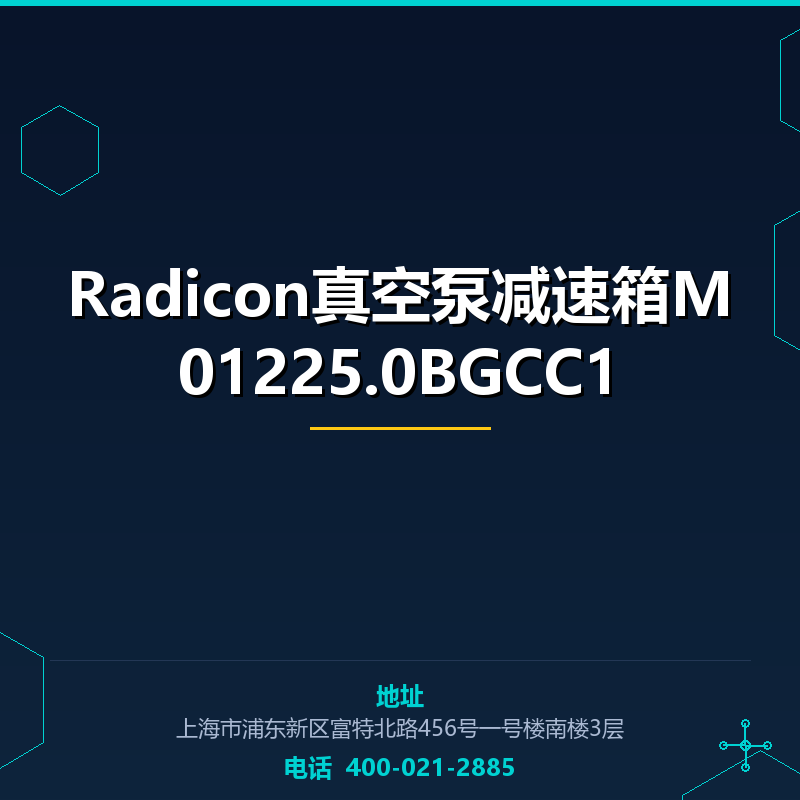 Radicon真空泵减速箱M01225.0BGCC1 None