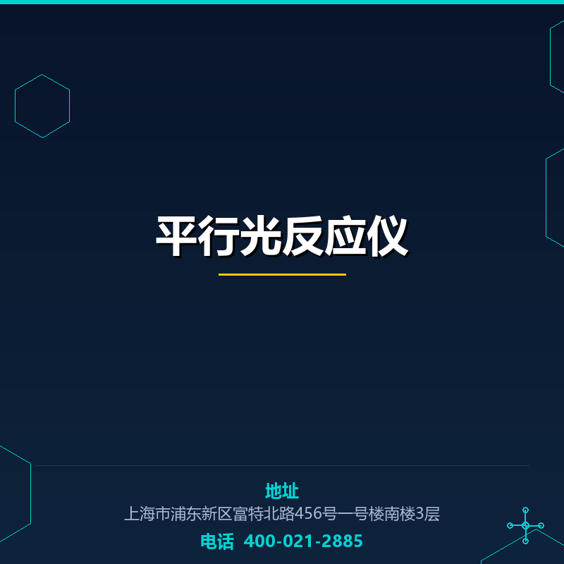 平行光反应仪 None