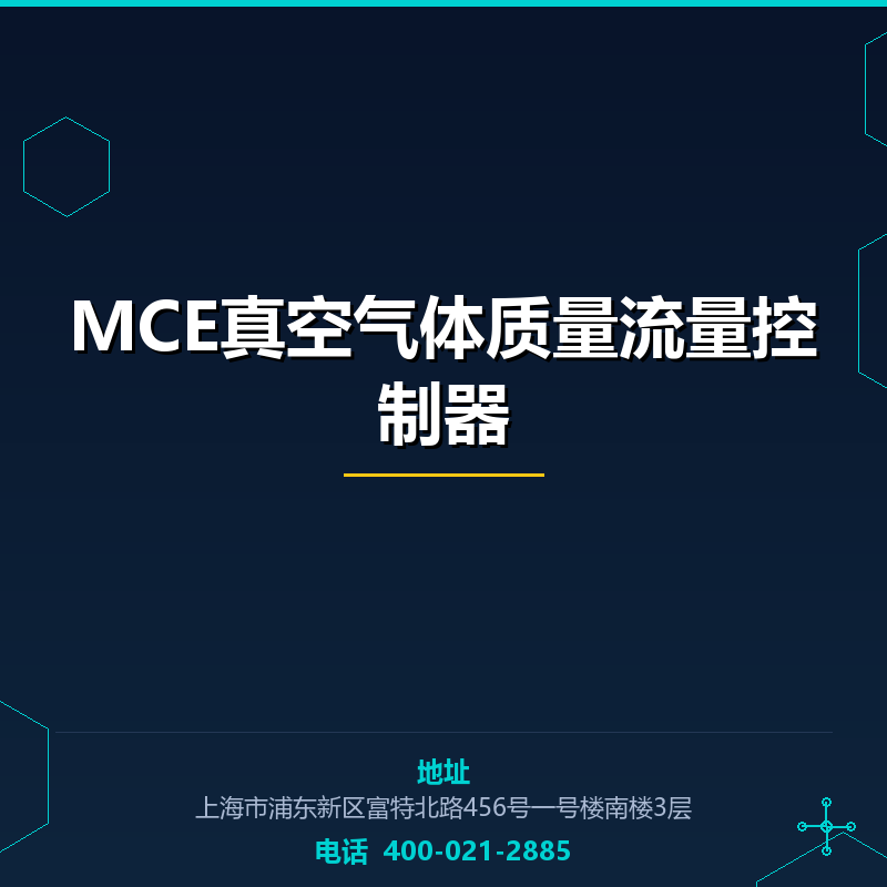 MCE真空气体质量流量控制器 None