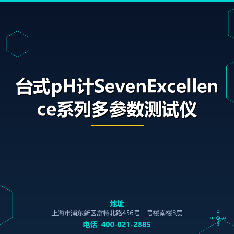 台式pH计SevenExcellence系列多参数测试仪 None