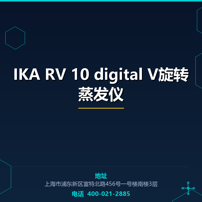 IKA RV 10 digital V旋转蒸发仪