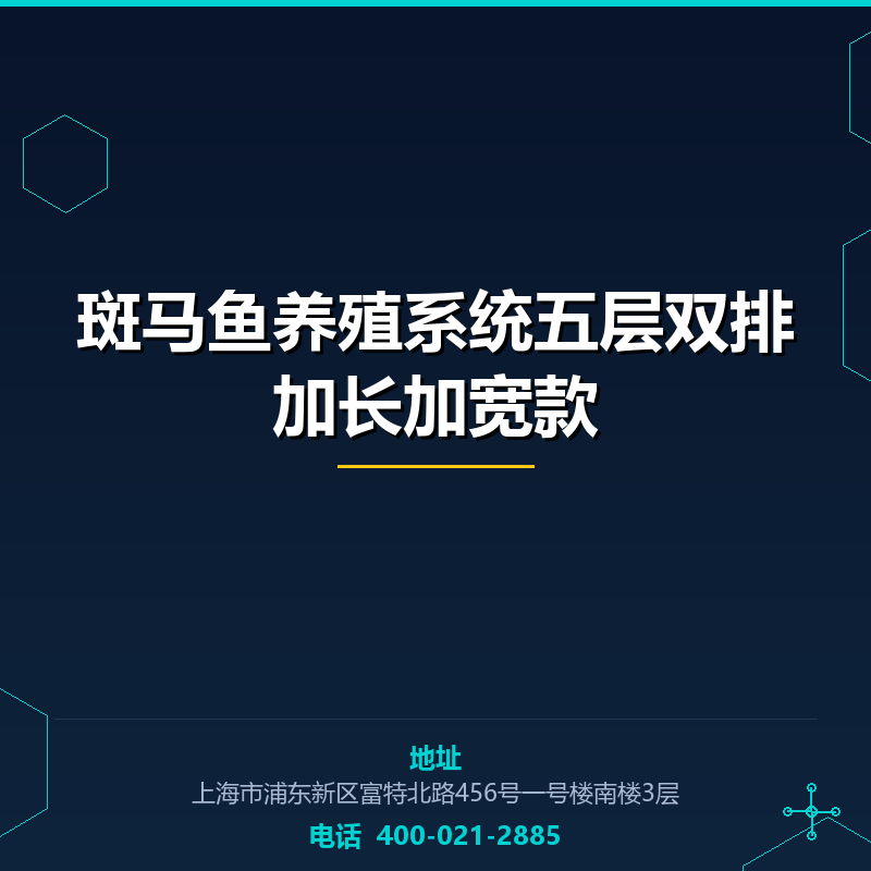 斑马鱼养殖系统五层双排加长加宽款 None