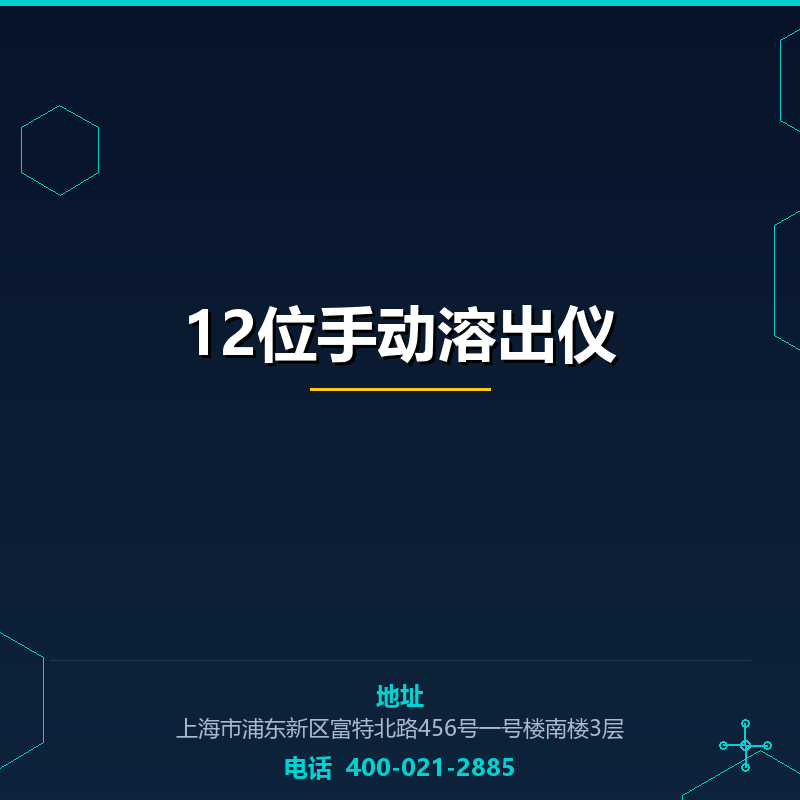 12位手动溶出仪