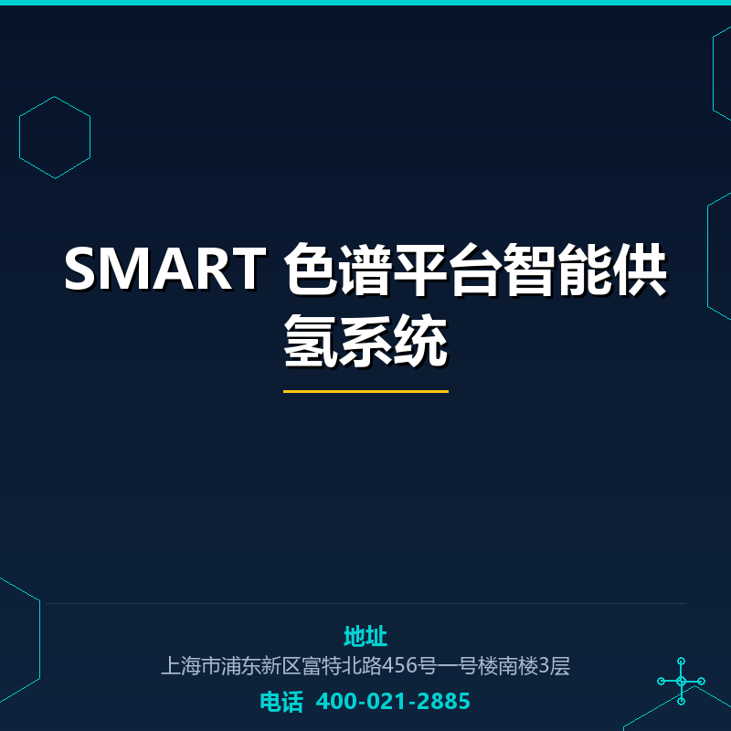 SMART 色谱平台智能供氢系统 None
