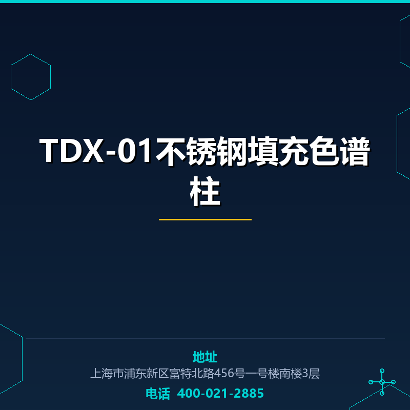 TDX-01不锈钢填充色谱柱