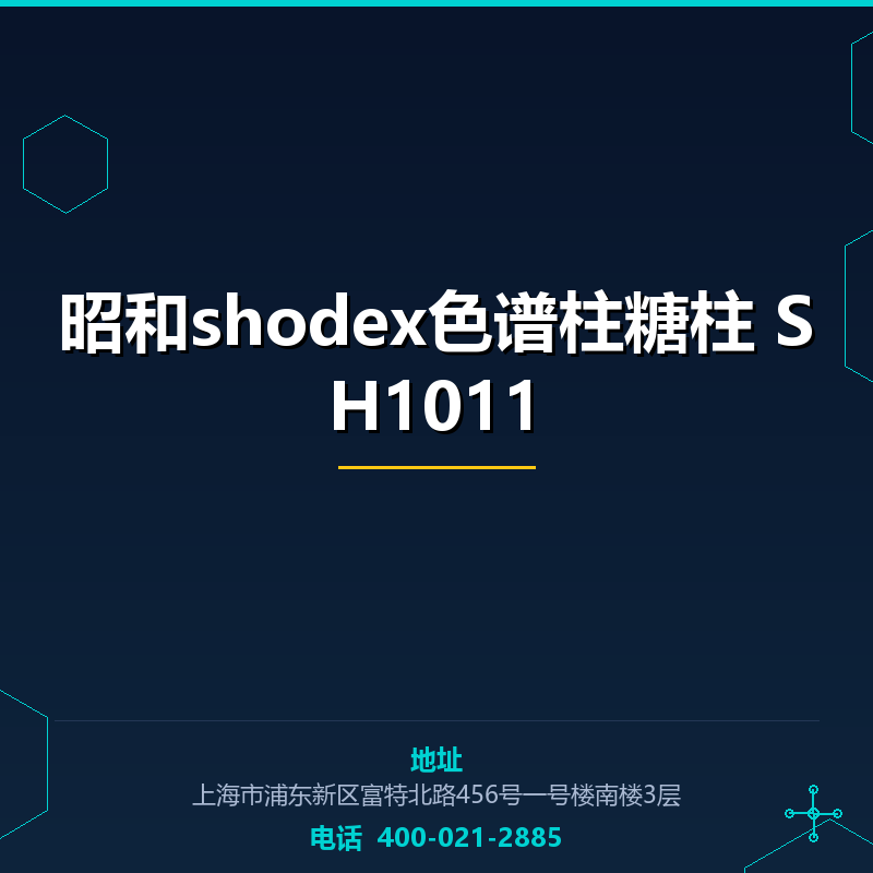 昭和shodex色谱柱糖柱 SH1011