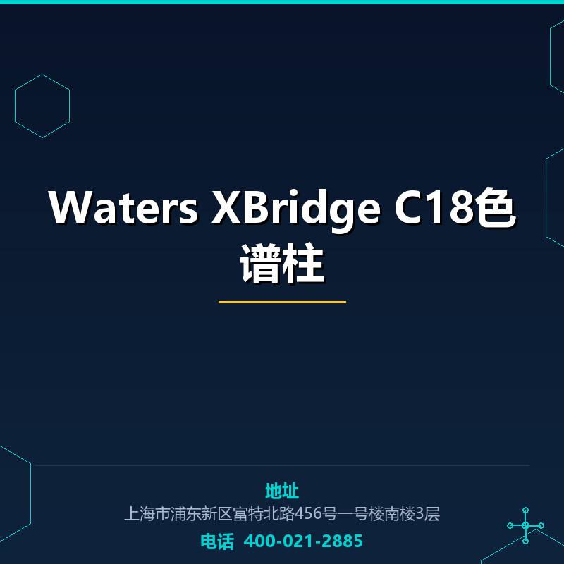 Waters XBridge C18色谱柱 None