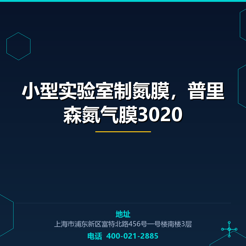 小型实验室制氮膜，普里森氮气膜3020 None