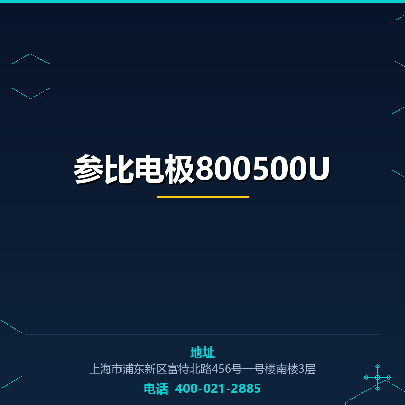 参比电极800500U None
