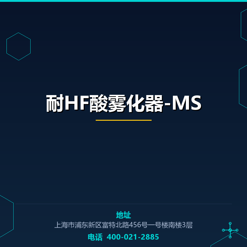 耐HF酸雾化器-MS None