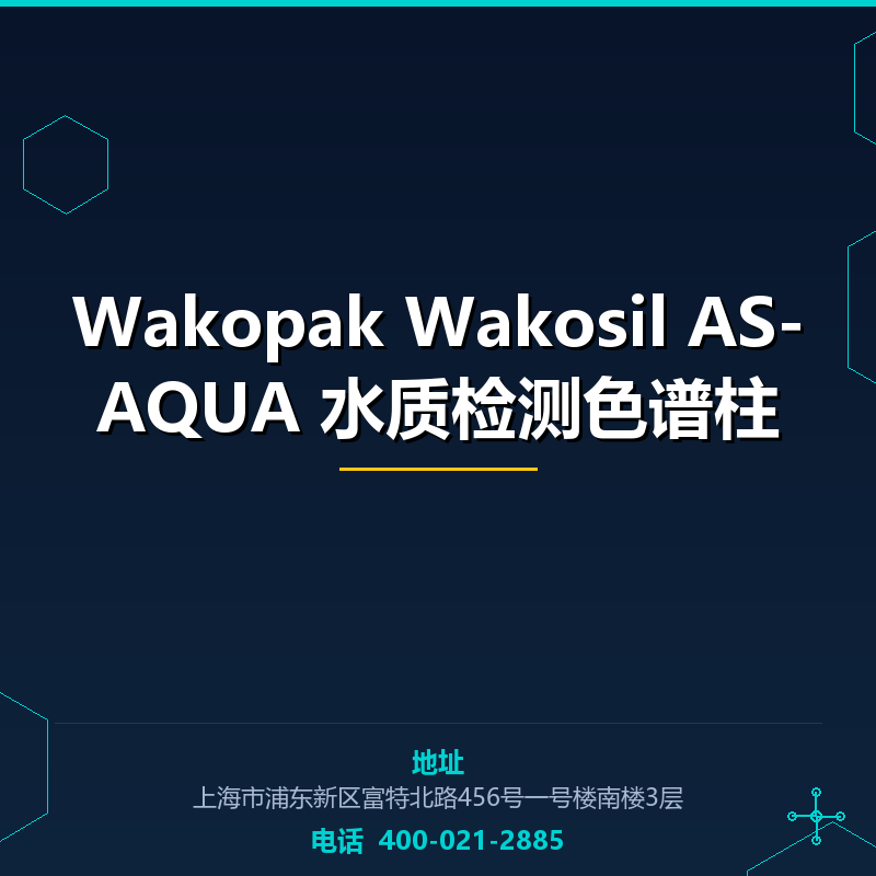 Wakopak Wakosil AS-AQUA 水质检测色谱柱（234-63281） None