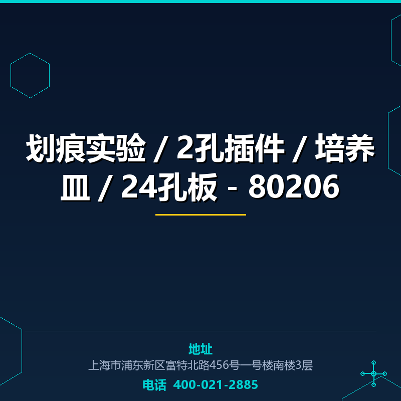 划痕实验／2孔插件／培养皿／24孔板－80206 None