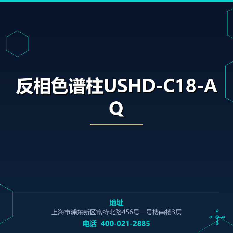 反相色谱柱USHD-C18-AQ