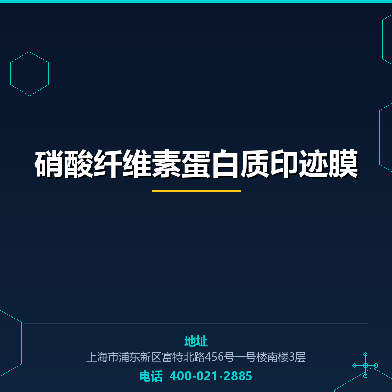 硝酸纤维素蛋白质印迹膜