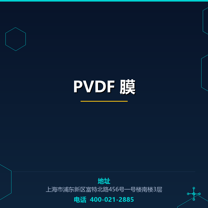 PVDF 膜