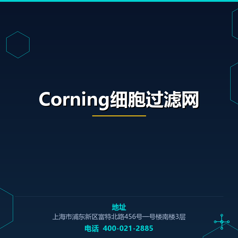 Corning细胞过滤网 None