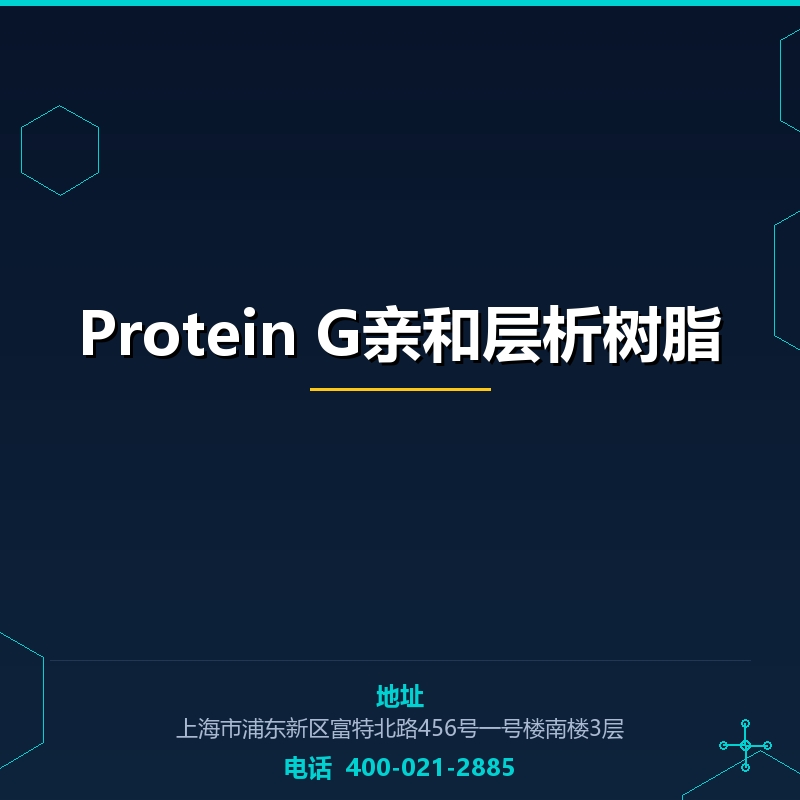Protein G亲和层析树脂