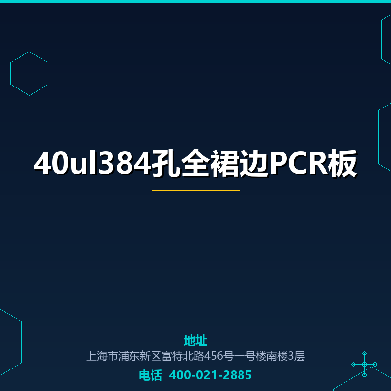 40ul384孔全裙边PCR板