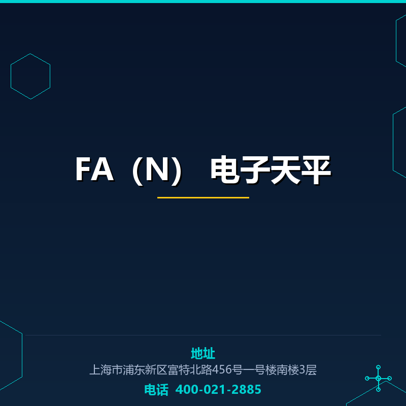 FA（N） 电子天平 None