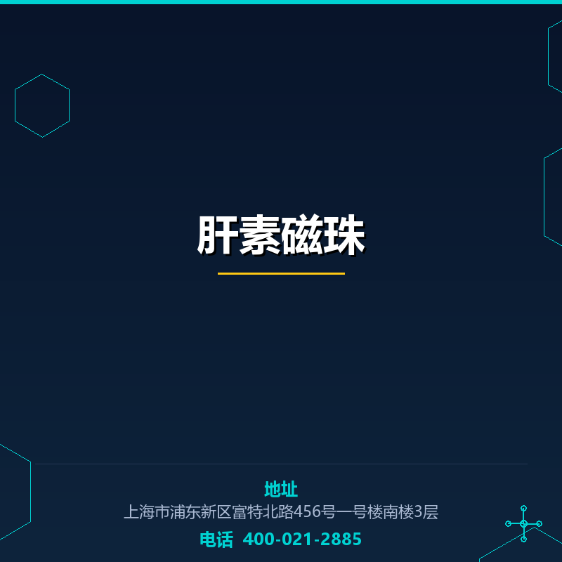 肝素磁珠