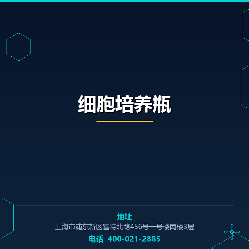 细胞培养瓶 None