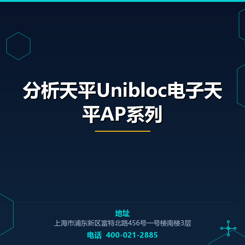 分析天平Unibloc电子天平AP系列